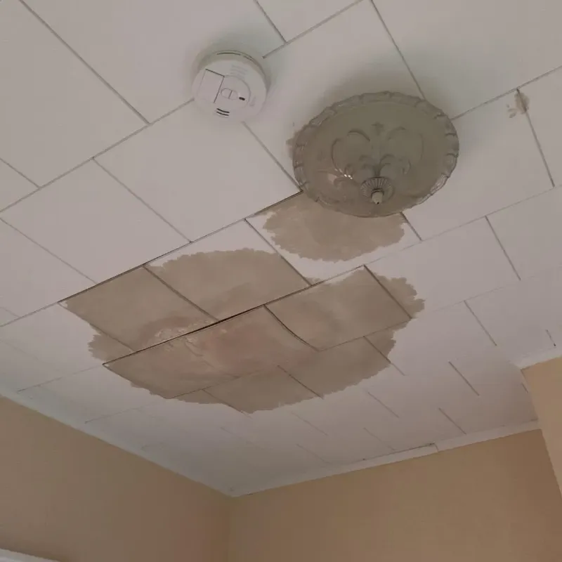 Ceiling Water Damage Repair in Colby, WI