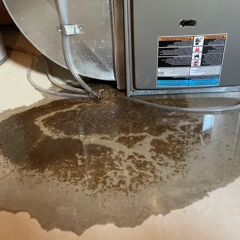 Pipe Burst and Leak Restoration in Colby, WI